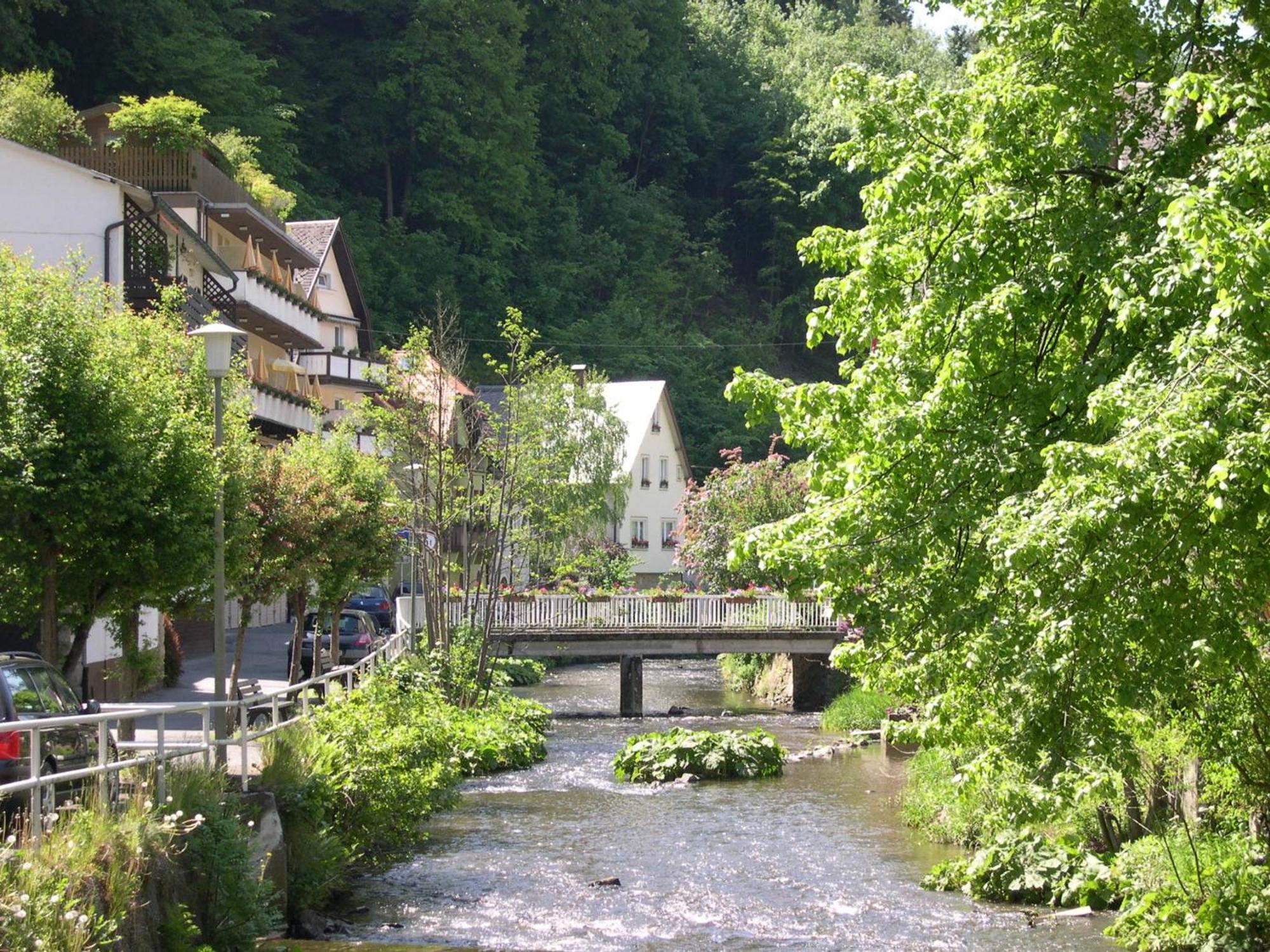 Hotel Heissinger Bad Berneck im Fichtelgebirge Extérieur photo